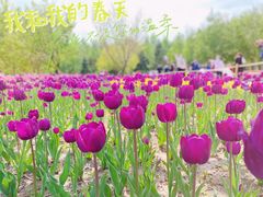 -长春公园(普阳街道)