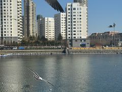 -大连圣亚海洋世界