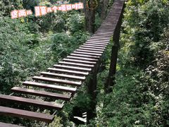 -西双版纳原始森林公园