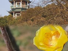 -无锡梅园公园
