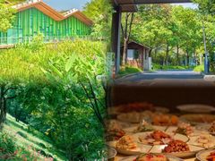 -西湖风景区-江洋畈生态公园