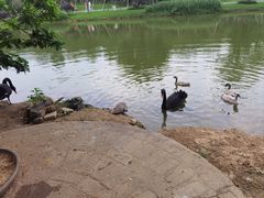 -森波拉奇妙世界