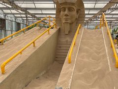 -南宫五洲植物乐园