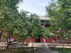 -大钟寺古钟博物馆