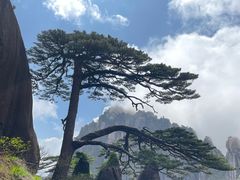 -黄山风景区