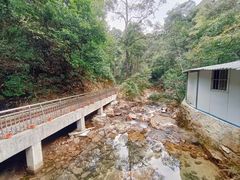 -九龙江国家森林公园