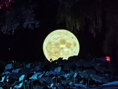 -北陵公园