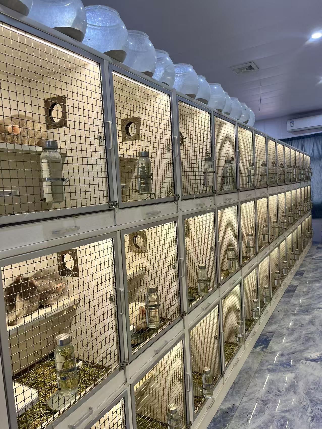 宁波慈溪龙猫舍