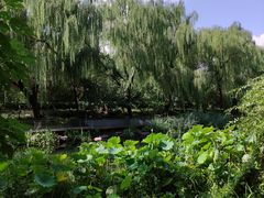 -南长河公园