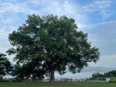 -东钱湖旅游度假区