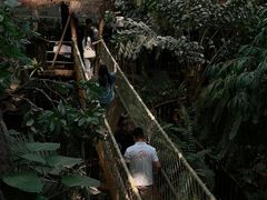 -正佳雨林生态植物园