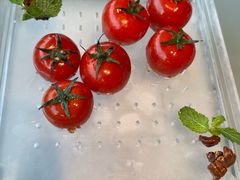 -小大董·烤鸭(观景餐厅·南京西路店)