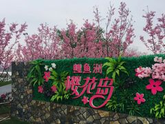 -福建鲤鱼洲酒店