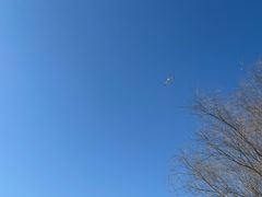 -上海山野camping·户外天幕烧烤·团建拓展营地