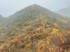 -大岭沟猕猴桃谷风景区