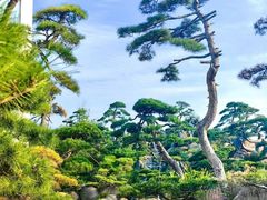 -罗红摄影艺术馆