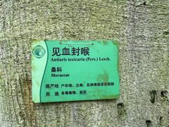 -华南国家植物园-售票处