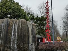 -合肥滨湖国家森林公园