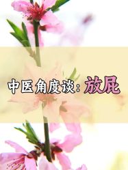 -雅曼妮spa美容养生