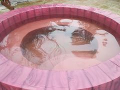 -宁波杭州湾海底温泉