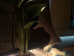 -儒之堂·足道养生SPA影院式(万融城店)