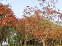 -兴安湖生态运动公园