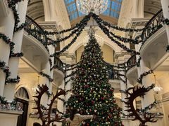 -羿庭(外滩华尔道夫酒店)