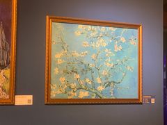 -上海梵高星空艺术馆(南京路旗舰店)