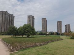 -杭州城北体育公园