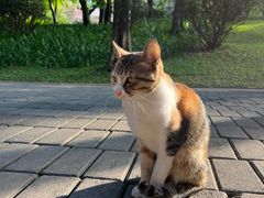-广州珠江公园