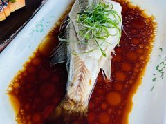 -云中小雅