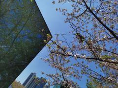 -龙美术馆(西岸馆)