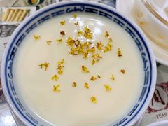 -周大娘牛乳(旧寨古村总店)