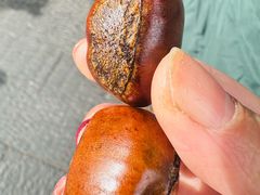 -高记福桂桂花糖炒栗(鼓楼店)