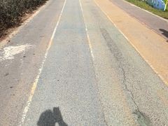 -贡湖湾湿地公园