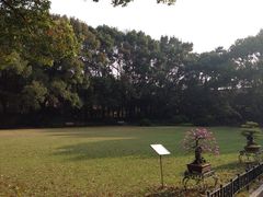 申粤轩-申粤轩酒楼·三十年粤菜经典(丁香花园店)