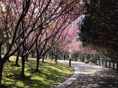 -苏州河梦清园环保主题公园