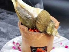 碳烧大响螺-欢乐海岸美食联盟