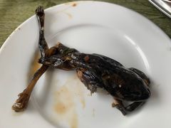 -庆岭迎宾园正宗活鱼馆