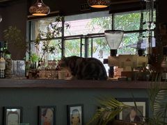 -咖法森林·咖啡  酒吧(天河店)