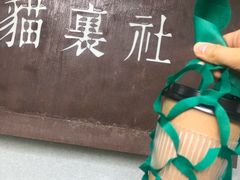 -猫里有甜