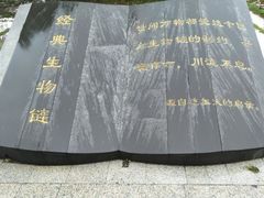 -海上田园