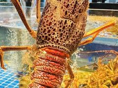 -木柴豆腐·活海鲜·鲁菜(岚山路店)