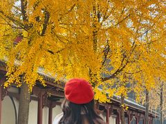 -归元·云集斋素菜馆