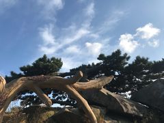 -罗田薄刀峰风景区