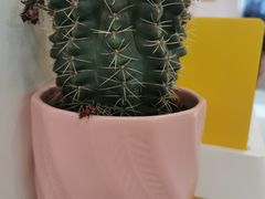 -梁子刨冰王&梁小糖(王顶堤店)