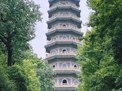 -灵谷景区