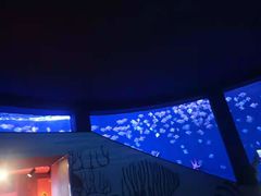 -沈阳海洋探索中心