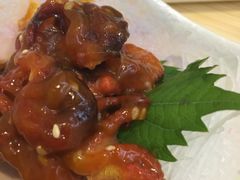 -樱の千渡日式料理·铁板烧•烧鸟(金盛田广场店)
