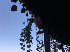 -丽江古城第一观景台